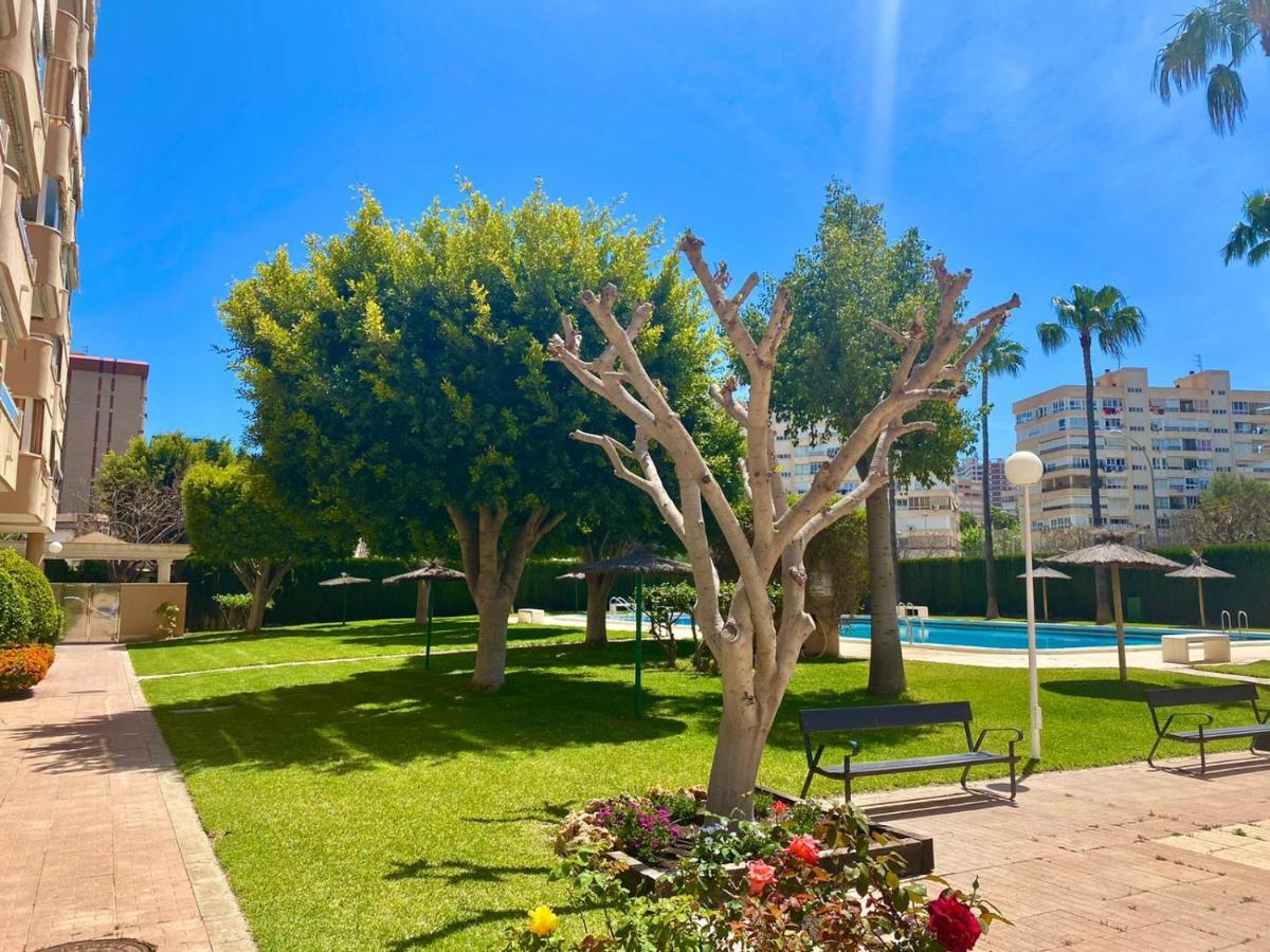 Apartamento Atenas Piscina 4 Pax, Inmobiliaria Leo Playa De San Juan Alicante Dış mekan fotoğraf
